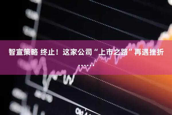 智宣策略 终止！这家公司“上市之路”再遇挫折……