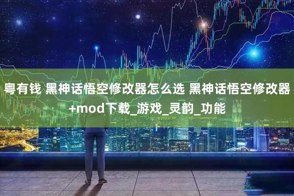 粤有钱 黑神话悟空修改器怎么选 黑神话悟空修改器+mod下载_游戏_灵韵_功能