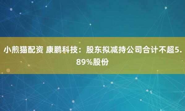小煎猫配资 康鹏科技：股东拟减持公司合计不超5.89%股份