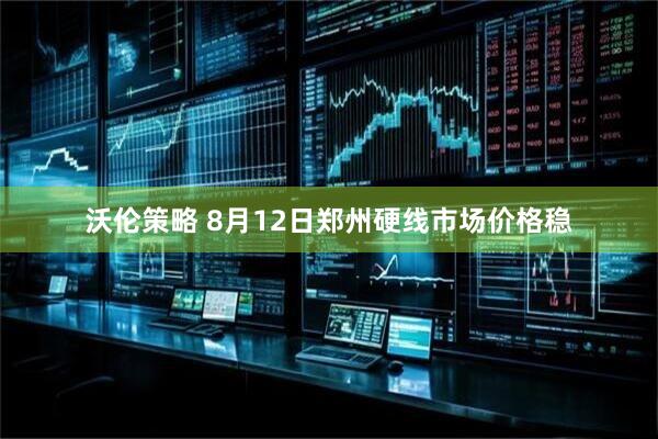 沃伦策略 8月12日郑州硬线市场价格稳