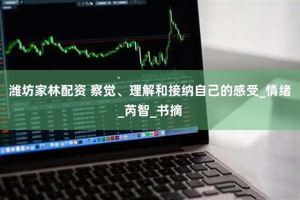 潍坊家林配资 察觉、理解和接纳自己的感受_情绪_芮智_书摘