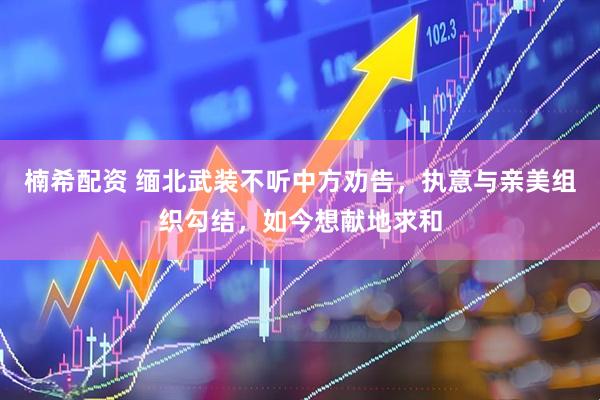 楠希配资 缅北武装不听中方劝告，执意与亲美组织勾结，如今想献地求和