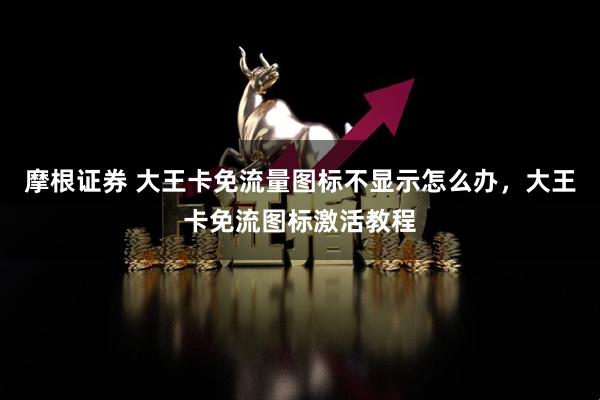 摩根证券 大王卡免流量图标不显示怎么办，大王卡免流图标激活教程
