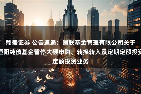 鼎盛证券 公告速递：国联基金管理有限公司关于国联恒阳纯债基金暂停大额申购、转换转入及定期定额投资业务