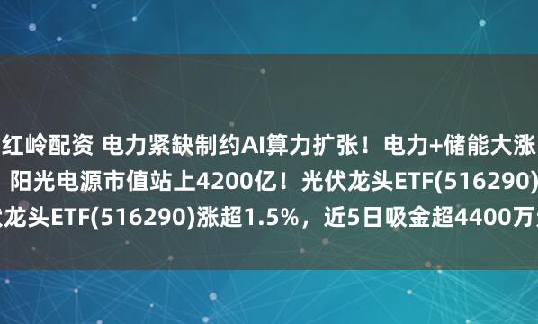 红岭配资 电力紧缺制约AI算力扩张！电力+储能大涨，特变电工涨超5%，阳光电源市值站上4200亿！光伏龙头ETF(516290)涨超1.5%，近5日吸金超4400万元