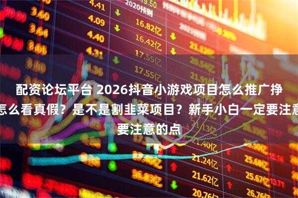 配资论坛平台 2026抖音小游戏项目怎么推广挣钱?怎么看真假?是不是割韭菜项目?新手小白一定要注意的点
